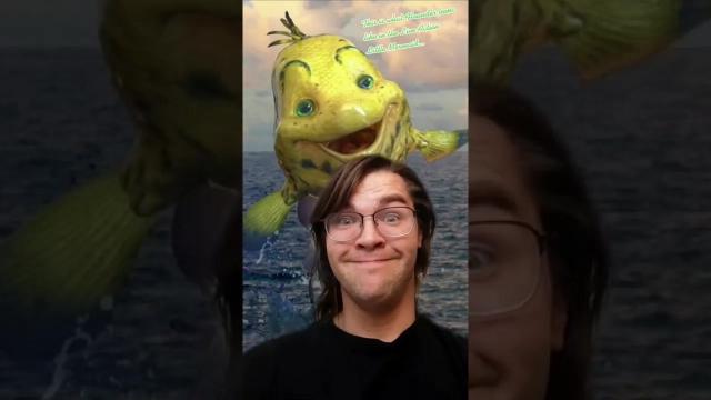 Title card image for video titled #Flounder everybody...😳 #thelittlemermaid #Disney #bigjackfilms Title card image for video titled #Flounder everybody...😳 #thelittlemermaid #Disney #bigjackfilms