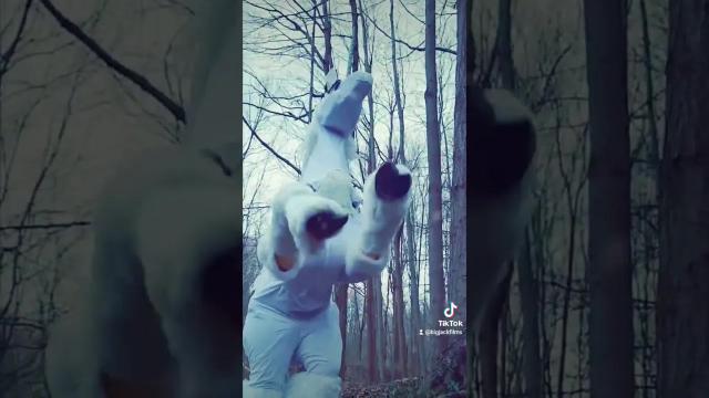 Title card image for video titled We did a #lastunicorn #cosplay shoot back in April. Title card image for video titled We did a #lastunicorn #cosplay shoot back in April.