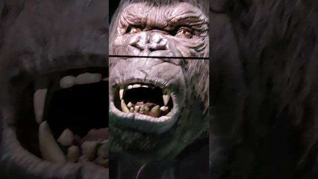 Title card image for video titled Had a bit of a King Kong Encounter... #bigjackfilms #kingkong #universalstudios #islandsofadventure Title card image for video titled Had a bit of a King Kong Encounter... #bigjackfilms #kingkong #universalstudios #islandsofadventure