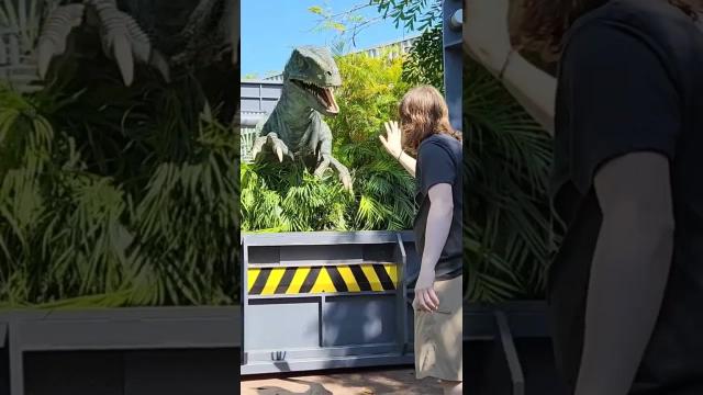 Title card image for video titled Training Raptors is easy... #jurassicpark #blue #jurassicworld #universalstudios #bigjackfilms Title card image for video titled Training Raptors is easy... #jurassicpark #blue #jurassicworld #universalstudios #bigjackfilms