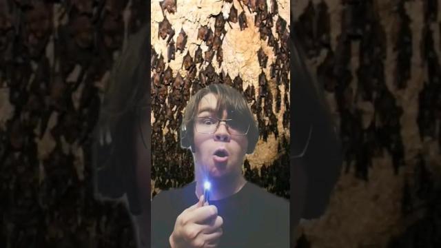 Title card image for video titled TO THE WRONG BAT CAVE! #batman #familyguy #thebatman #dccomics #adamwest #bigjackfilms #batcave Title card image for video titled TO THE WRONG BAT CAVE! #batman #familyguy #thebatman #dccomics #adamwest #bigjackfilms #batcave