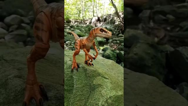 Title card image for video titled #velociraptor IS a problem! #jurassicpark #jurassicworld #bigjackfilms #Raptors #blue