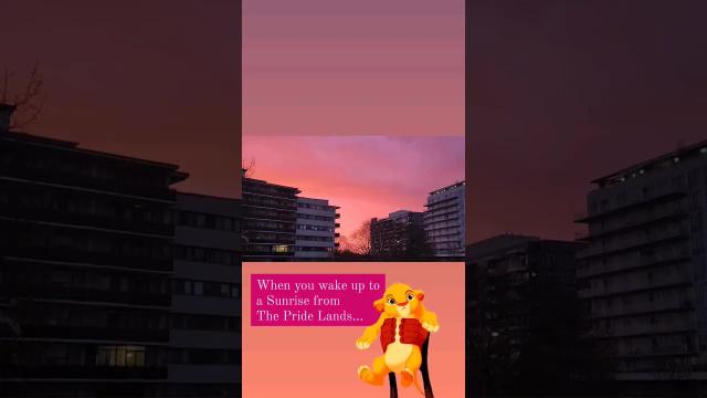 Title card image for video titled Good morning... #thelionking #Sunrise #dawn #disney #bigjackfilms #goodmorning