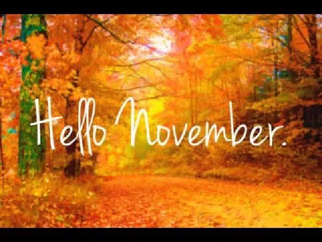 Title card image for video titled NOVEMBER UPDATES! BigJackFilms Livestream! Title card image for video titled NOVEMBER UPDATES! BigJackFilms Livestream!