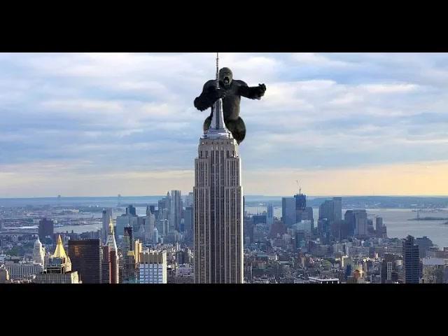 Title card image for video titled FRIDAY NIGHT LIVE! AFTER NEW YORK (ft. Nick Jackson) A BigJackFilms Livestream! Title card image for video titled FRIDAY NIGHT LIVE! AFTER NEW YORK (ft. Nick Jackson) A BigJackFilms Livestream!