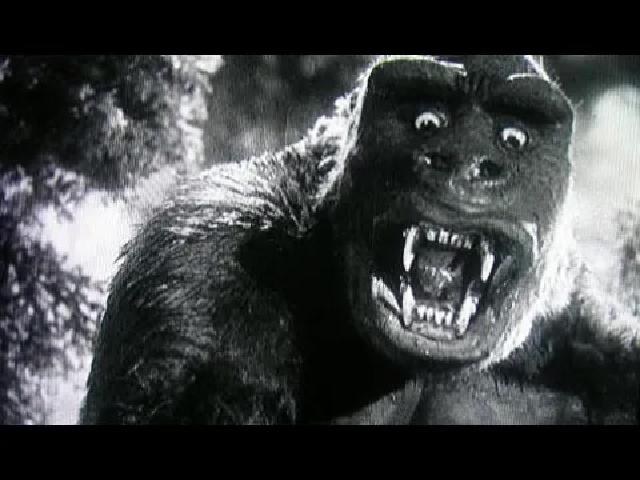 Title card image for video titled Afternoon Quickie! A BIGJACKFILMS LIVESTREAM