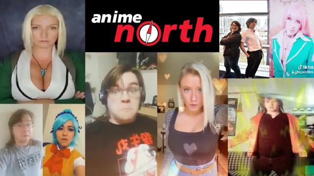 Title card image for video titled BigJackFilms TikTok Collection Vol. 21 - ANIME NORTH 2020: THE FINAL FAREWELL