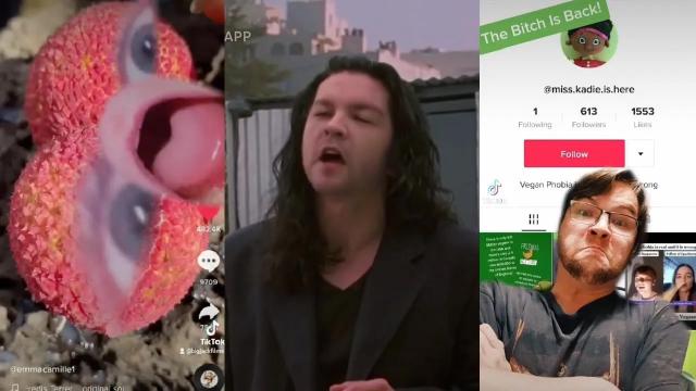 Title card image for video titled BigJackFilms TikTok Collection Vol. 43 - OH HAI 2021 Title card image for video titled BigJackFilms TikTok Collection Vol. 43 - OH HAI 2021