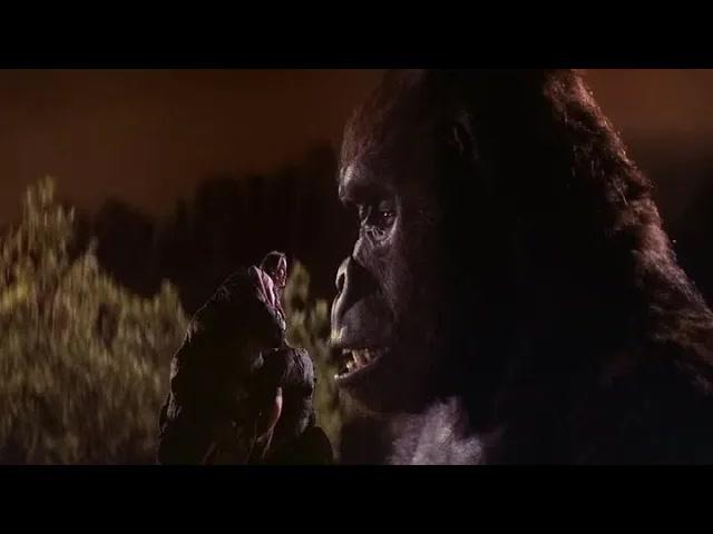 Title card image for video titled Slowly Coming Back - A BIGJACKFILMS LIVESTREAM Title card image for video titled Slowly Coming Back - A BIGJACKFILMS LIVESTREAM