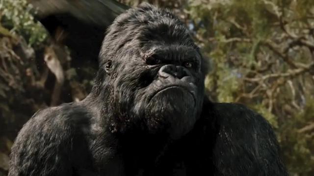 Title card image for video titled Post Production Diary (Editing) A BigJackFilms Livestream!